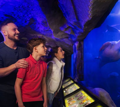 wem-inn-attractions-marine-life-hero.jpg