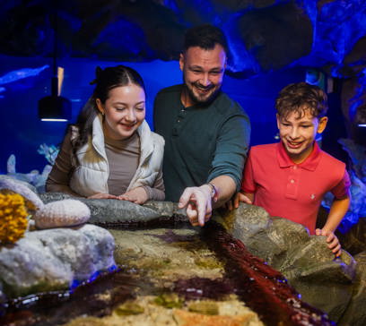 wem-world-marine-life-caverns.jpg