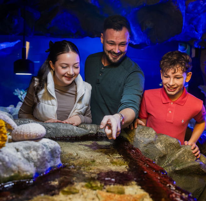 wem-world-marine-life-caverns.jpg