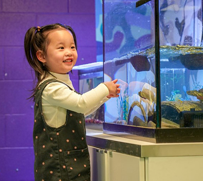 wem-marine-life-education-circle-life 1.png
