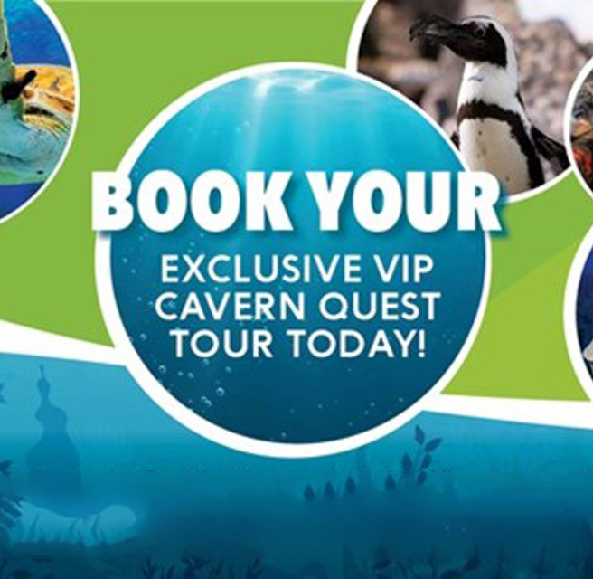 Education Tours - Cavern Quest