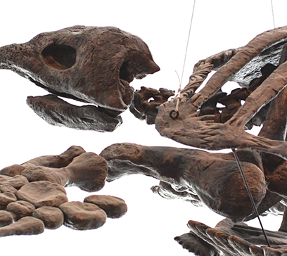 wem-marine-life-education-extinction 1.png