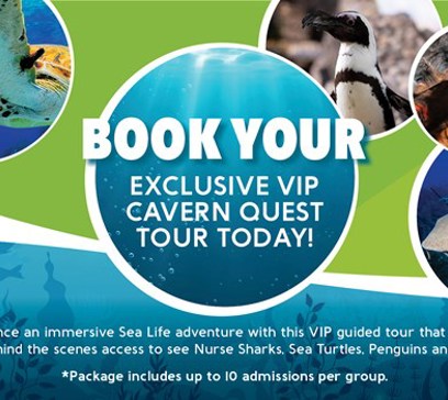 wem-attractions-marinelife-2022-programads-1920x1080_cavernquest.jpeg