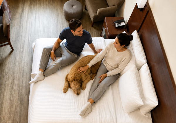 wem-inn-rooms-pet-friendly-room-1.jpg