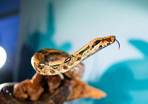 Marine Life - Gallery 5