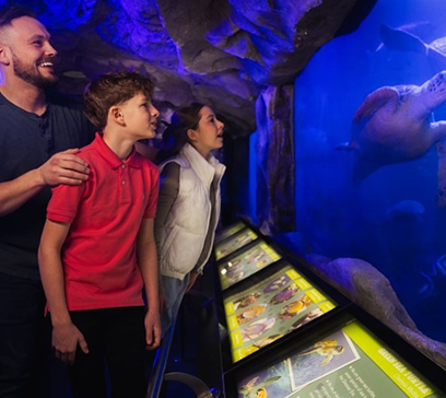 wem-marine-life-education-ocean-waters 1.png