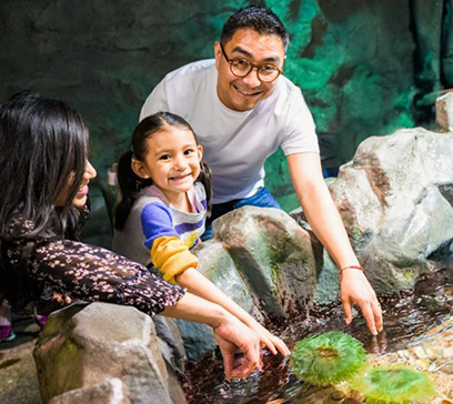 wem-marine-life-education-sensational-animals 1.png